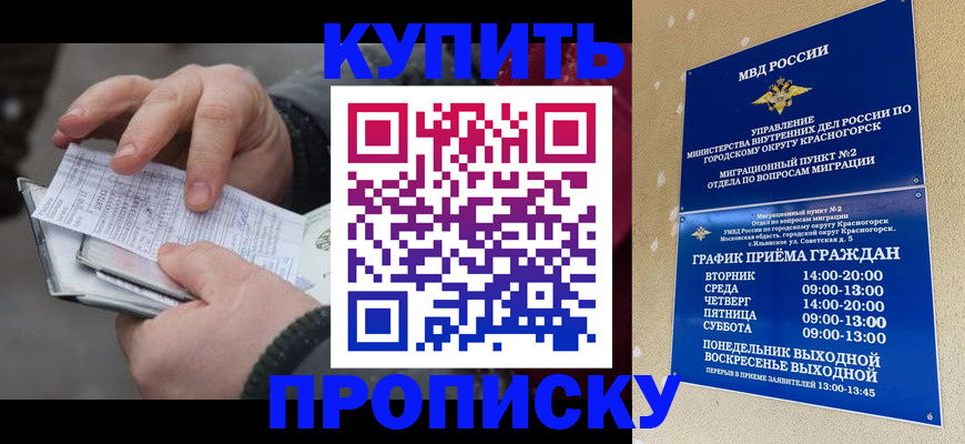 временная регистрация недорого в Шелехове